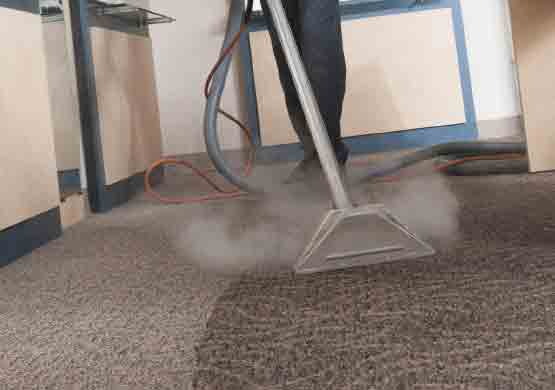 Best Carpet Steam Cleaning Paralowie
